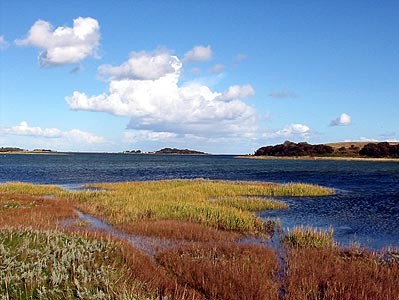 Hundsholm i midten og Sværm til højre set mod øst fra strandengen nedenfor P-pladsen til Sværm, i baggrunden Langør. September 2003 (MWH)