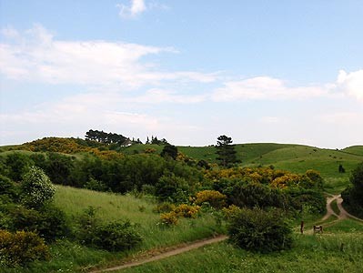 Ørneåsen, Nordby Bakker, set fra Stolbakken i juni 2003  (MWH)