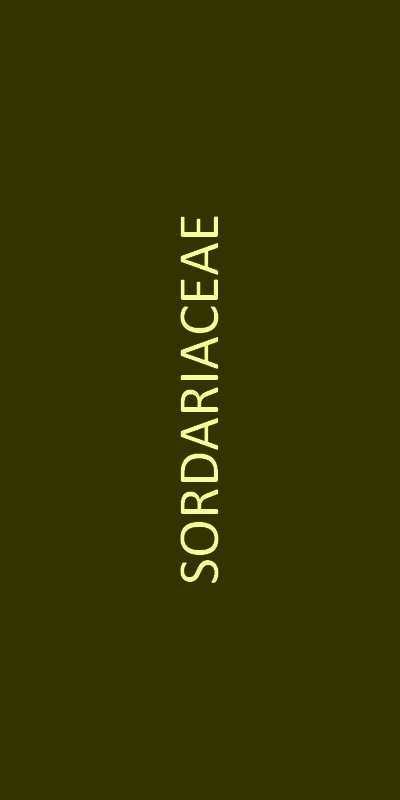 sordariaceae familie