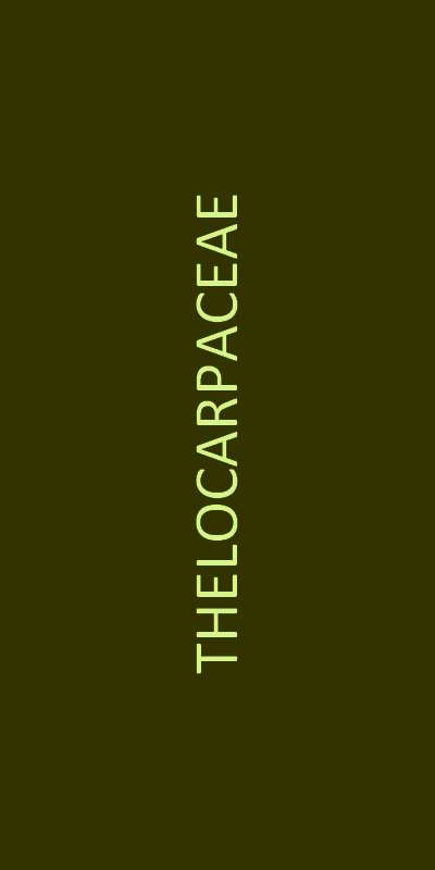 thelocarpaceae familie